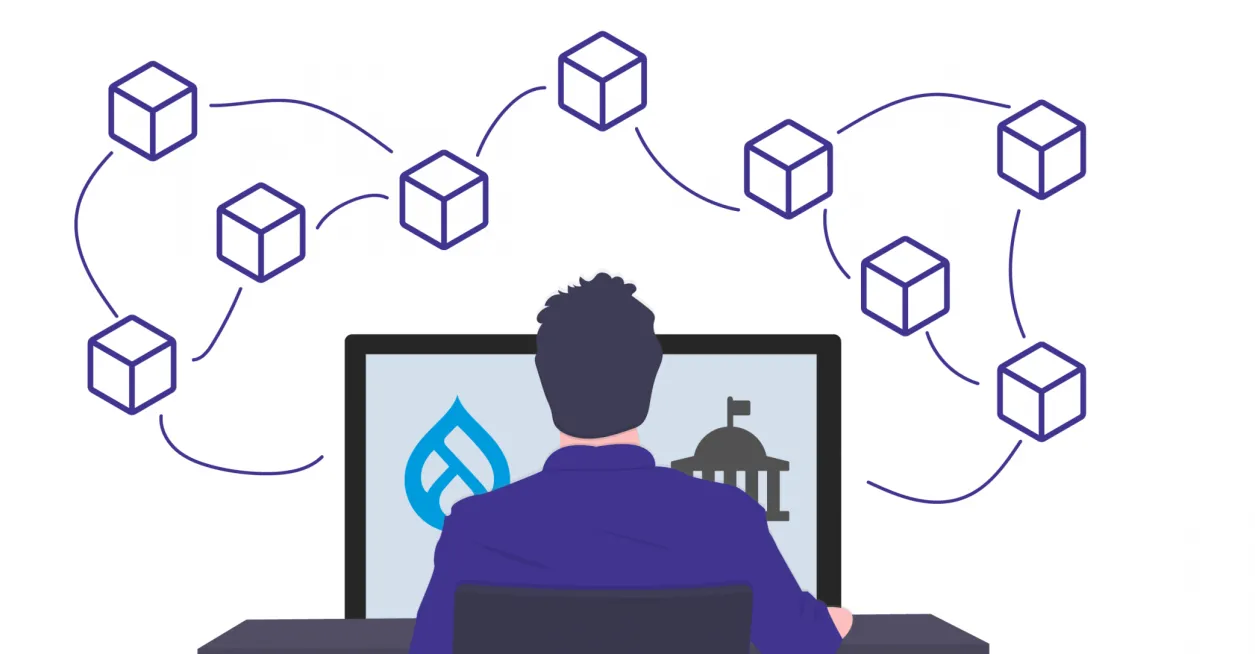 Government Websites developer