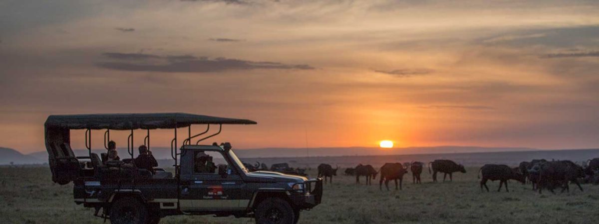 Best tourism website developers in Kenya