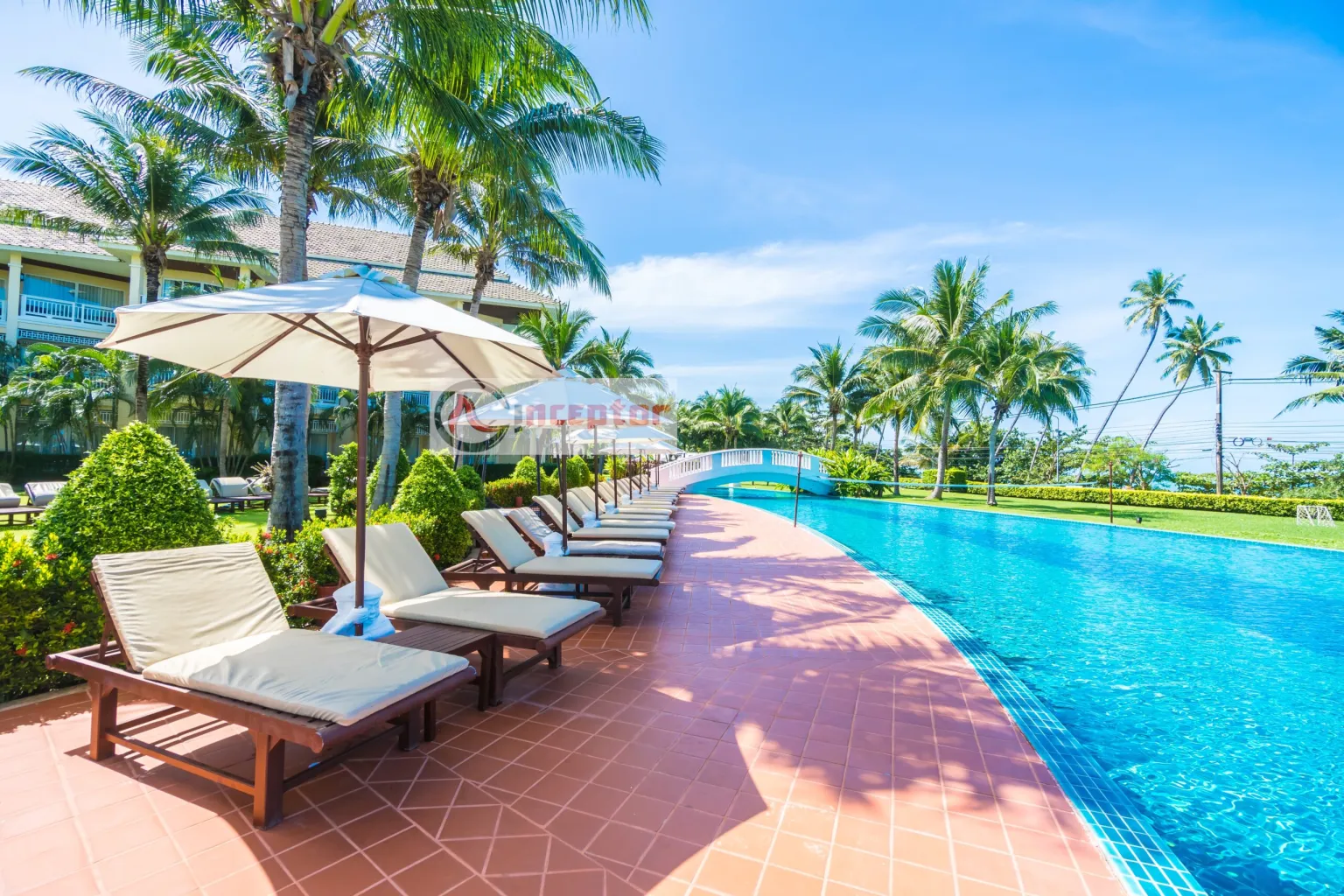 Website development for tours and travel Kenya