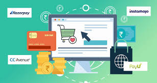 Ecommerce Website Payment Integration